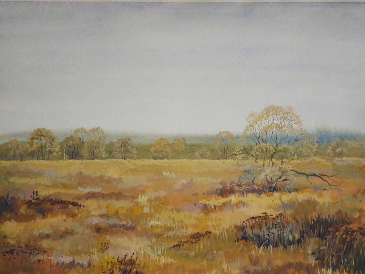 Watercolor #4. 15x12
